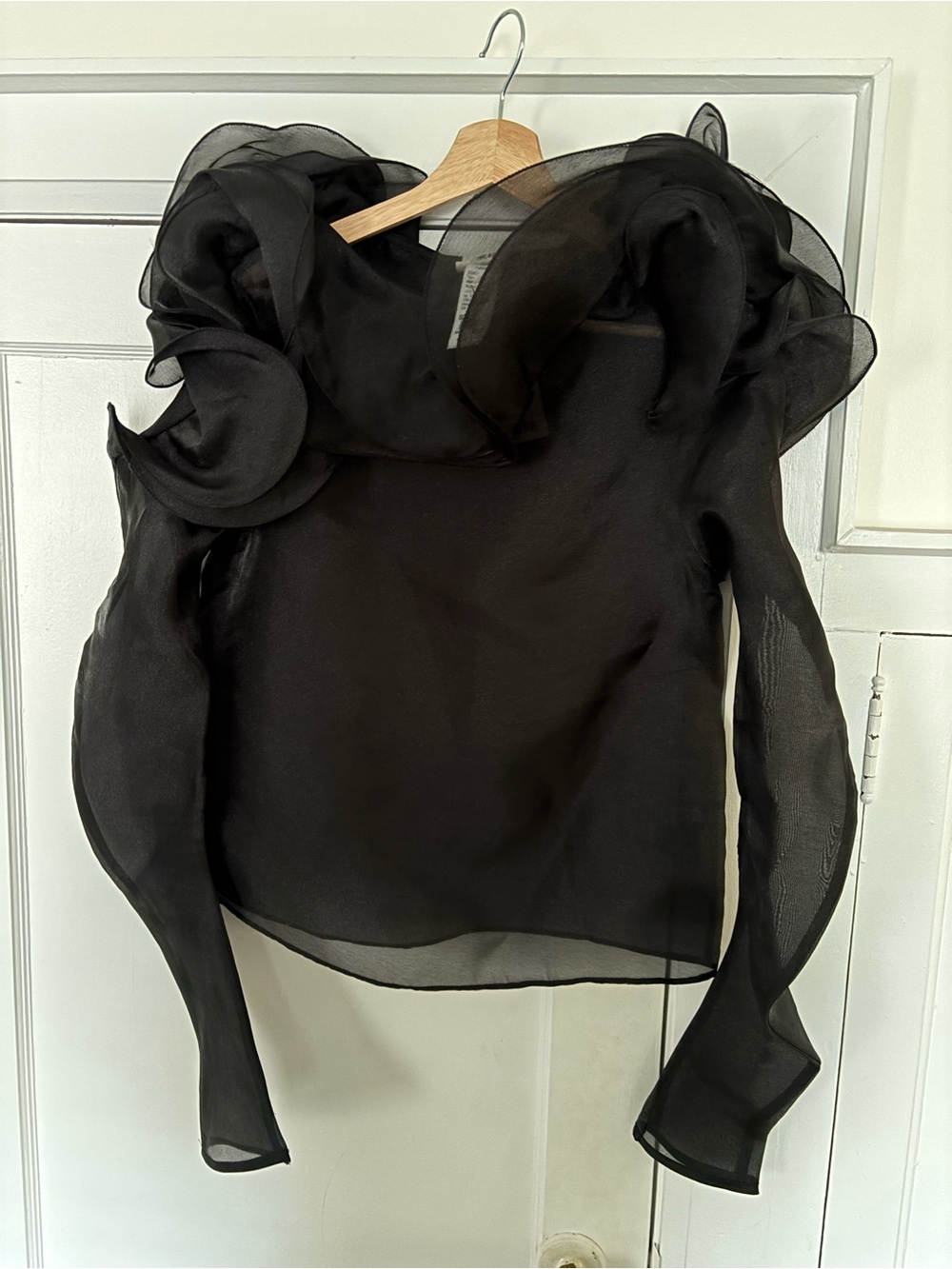 H&M Black Sheer Organza Blouse with Sculpted Ruffle Collar